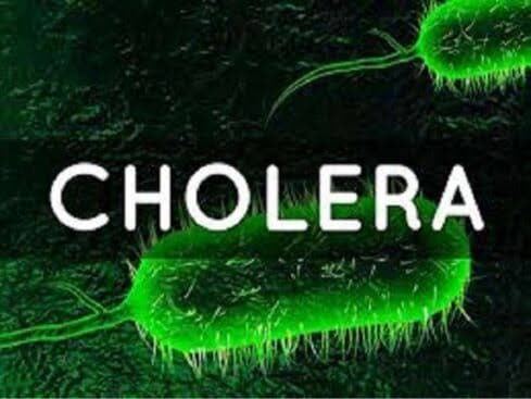 CHOLERA OUTBREAK: CAUSES, PREVENTION, AND SYMPTOMS