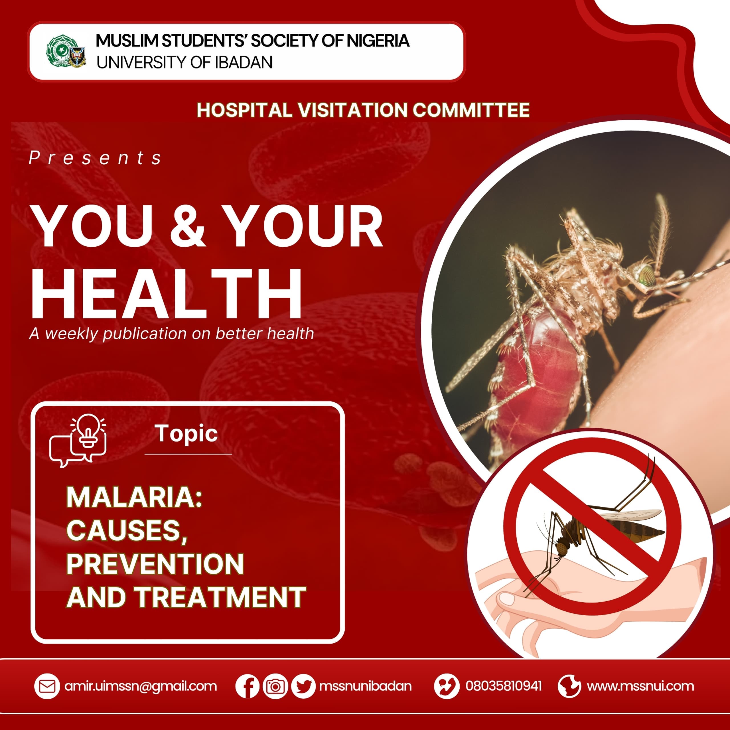 Malaria: Causes, Prevention and Treatment