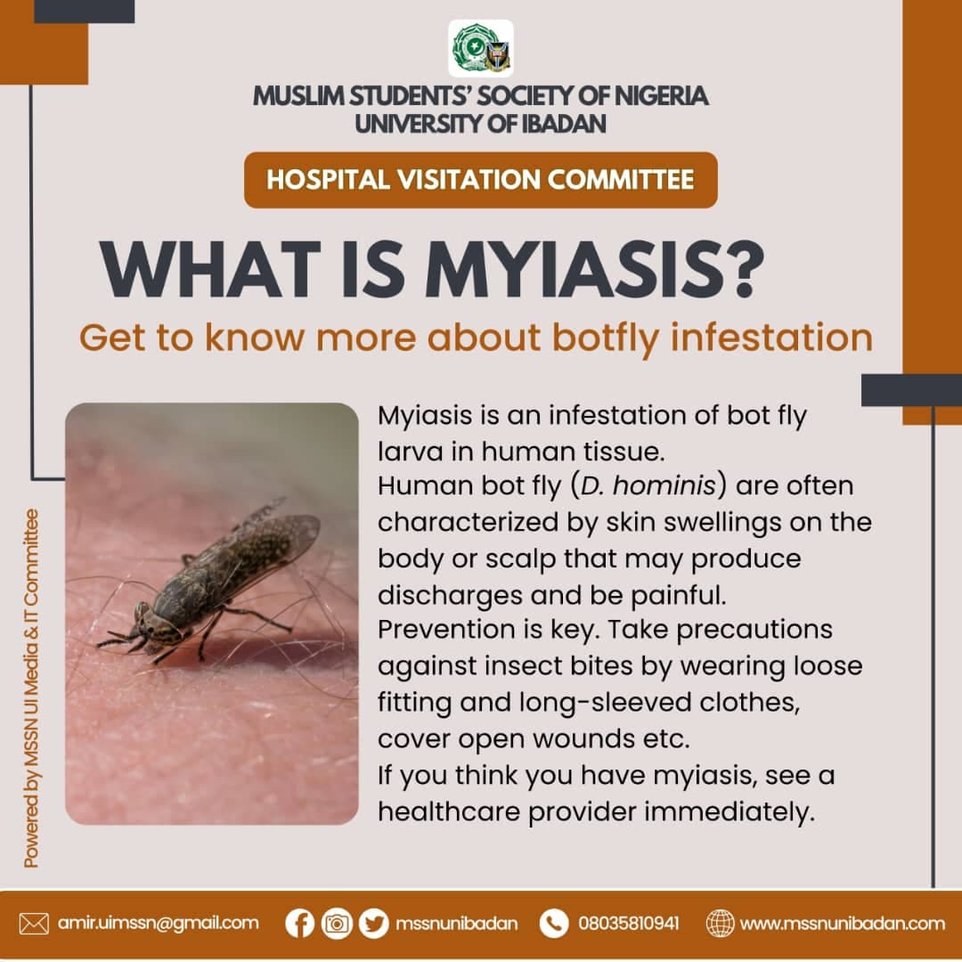Myiasis: Causes, Prevention, and Treatment